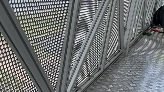 Workers on Scaffold Ambushed by a Falcon