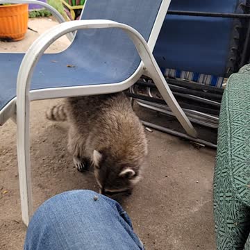 Jerry the grounds keeper?