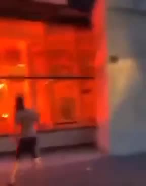 The Muslim mob burned down the central and large library of the city of Marseilles this evening