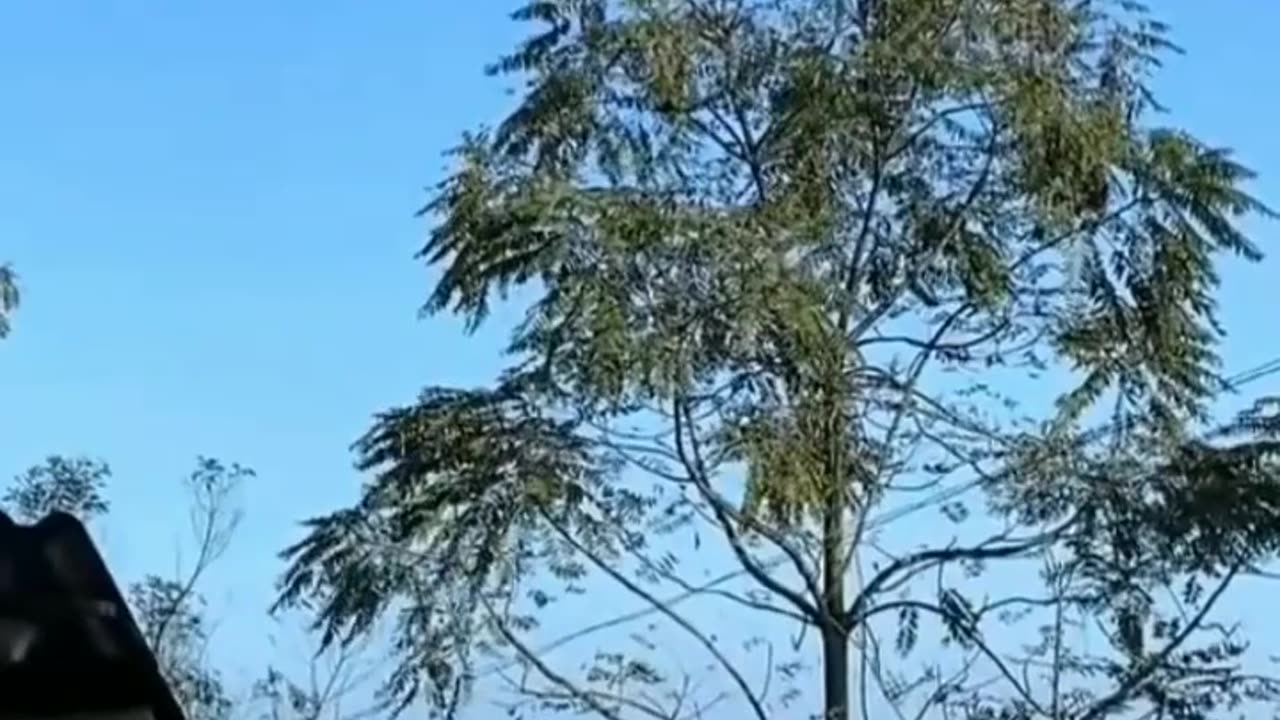 HUSBAND VS WIFE'S BEST FRIEND PART 1