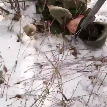 ukraine commits another war crime