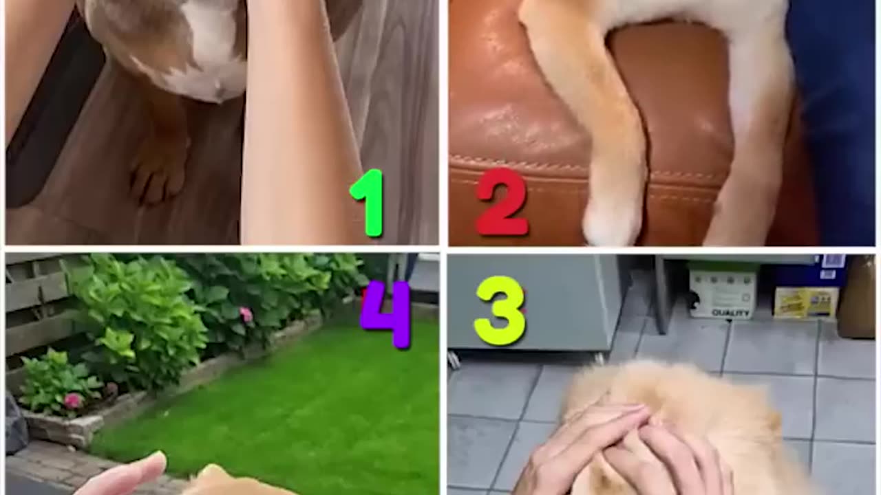 Who is Your Best😋