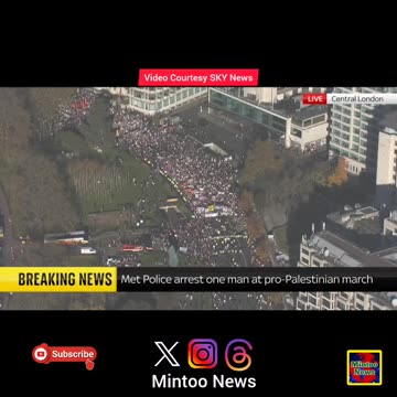 Met Police arrest man at pro-Palestinian march
