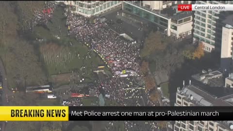 Met Police arrest man at pro-Palestinian march