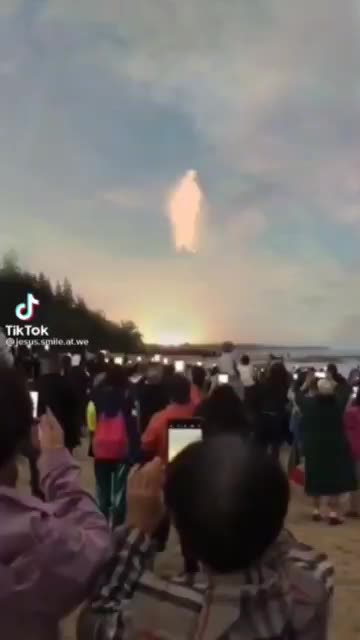 The 🐏🐑 are going to eat this up