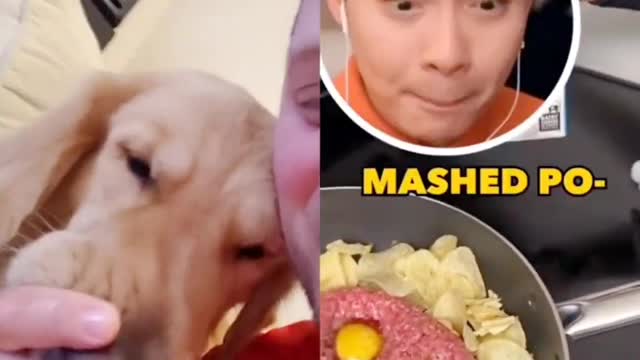 My Foodie DOG reacts to a Scary BURGER 🤣