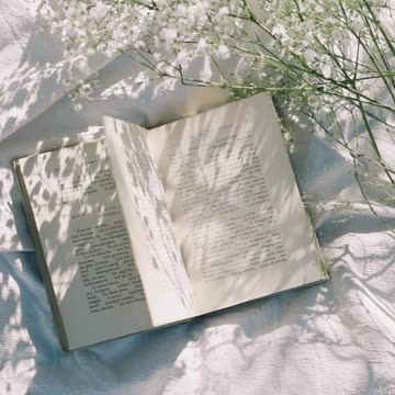 Gib jedem Tag die Chance, der schönste deines Lebens zu werden.