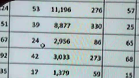 PREMEDITATED ERRORS IN CALCULATIONS BY INEC