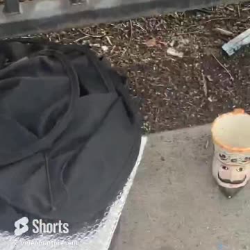 Handicap Man Can’t Use Sidewalk