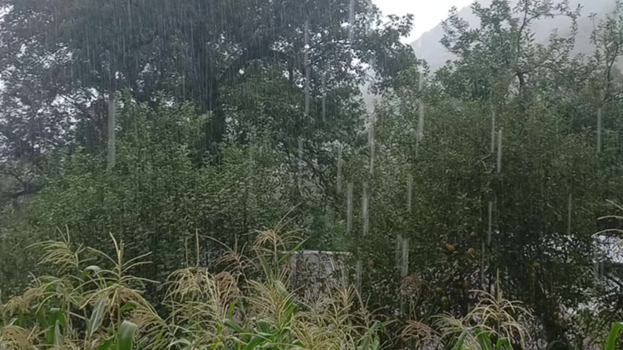 Sound of Rain