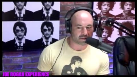 Joe Rogan Experience #538 - Stefan Molyneux.MP4