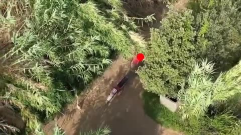 Police drone caught a suspected arsonist in Calabria, southern Italy