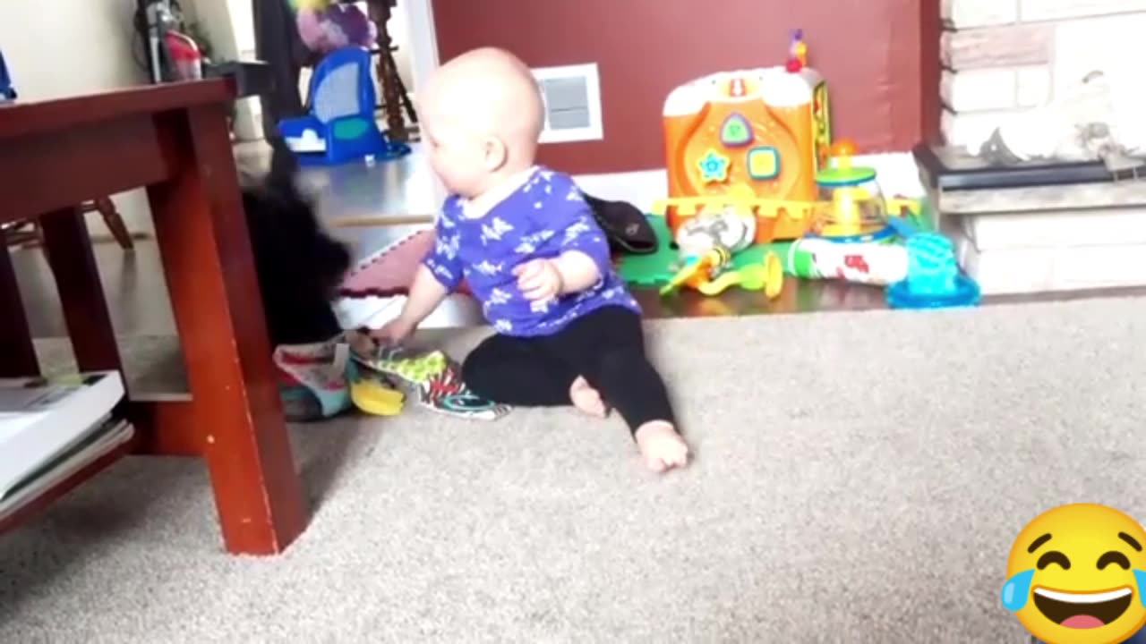 Funny dogs & funny babies being together