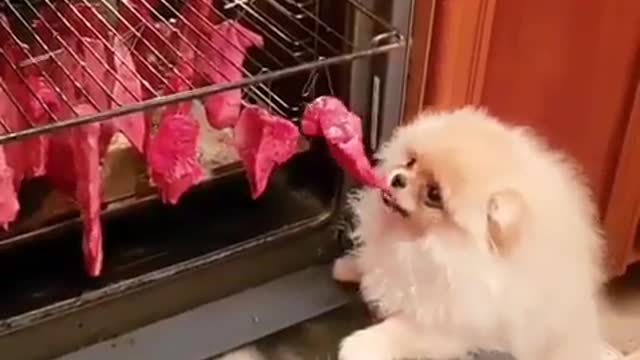 Prepare barbecue Boyack to steal