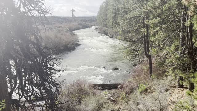 Exploring the BEAUTIFUL Deschutes River Trail – Central Oregon – 4K