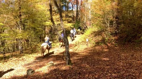 Great Smoky Mountain Adventure