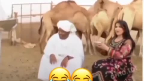 Funny animal video We sincerely hope you enjoy it; please follow us if you wanna laugh every day 