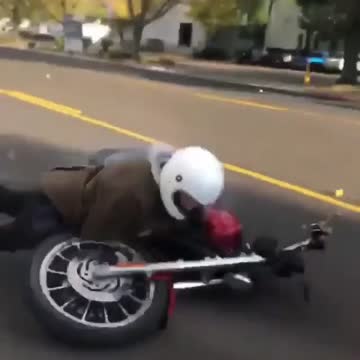 Harley wheelie stunt'n gone wrong