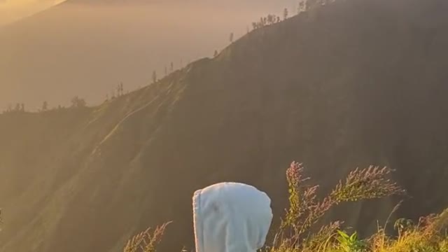 Bali Indonesia. 7