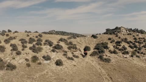 439_Catch the Bullet (2021 Movie) Official Trailer