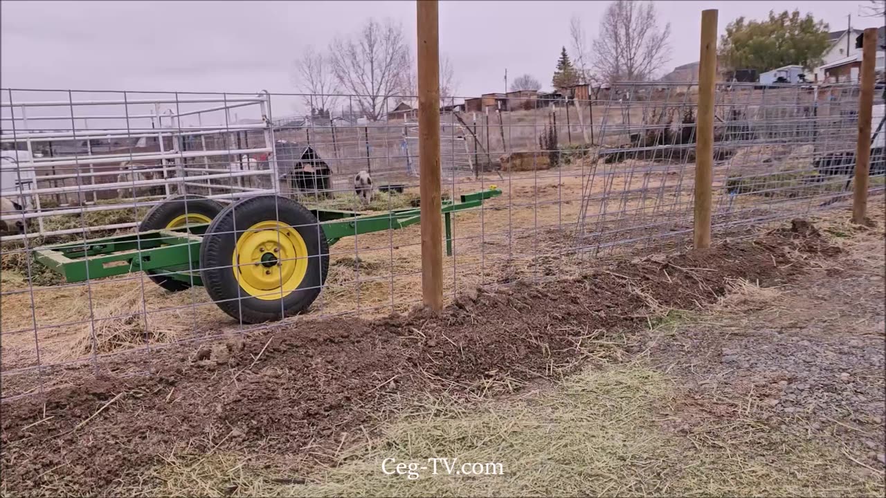 Graham Family Farm: 10 AM December 6th 2024