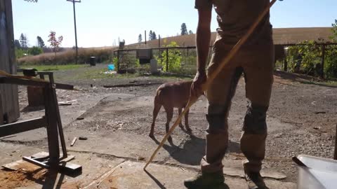 Mándale el video a tu amigo “el malo”