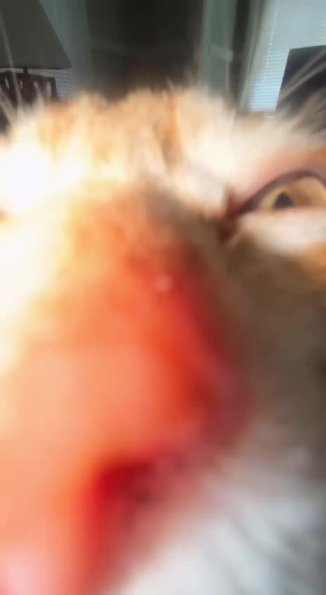 Play stupid games win stupid prizes 😱