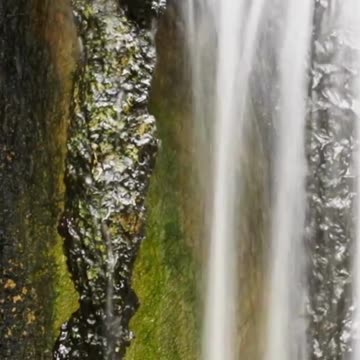 Ocean Breath Meditation for Stress Reduction and Calmness 🌬️ #meditation #oceanbreath #shorts