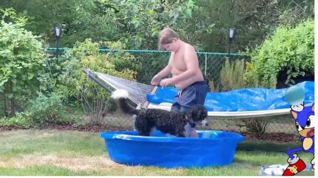 Funny Videos - Summer