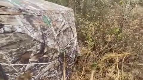 Clips you need to see 😯🌍
