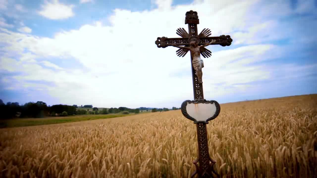 The Ecosystem of Corn Farming - Documentary