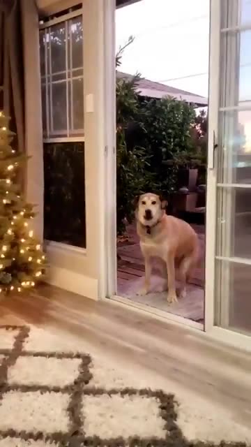 Please someone let me in. Pretty please 🙏😂