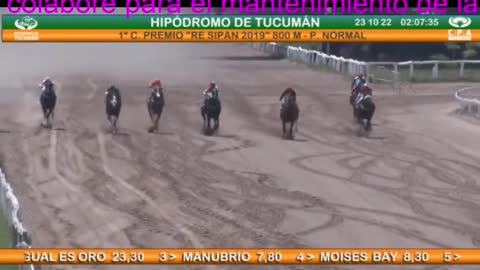 Tucumán 23/10/2022 Carrera Nº 01