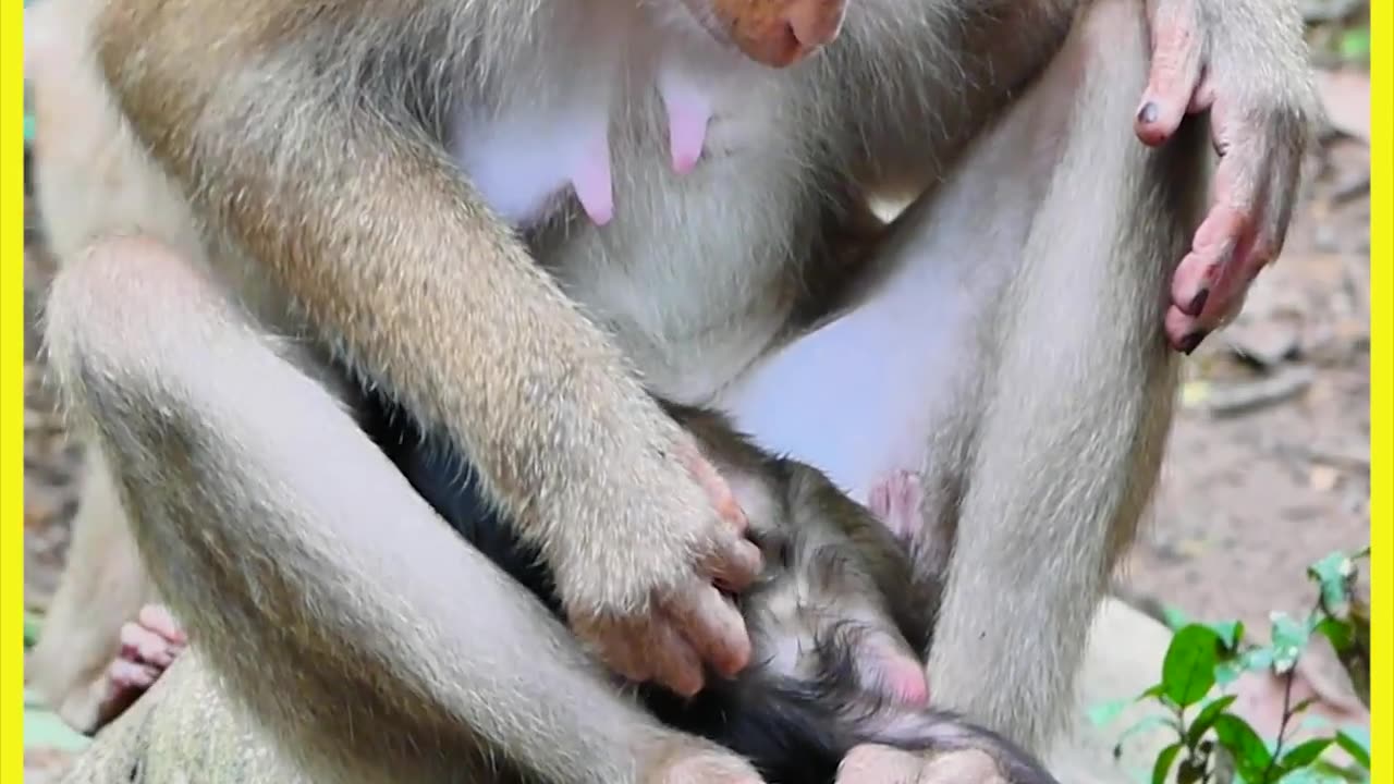 Top terrified poor baby cry extremely by mom block weaning her not pity!!!