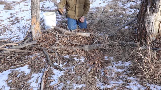 Mike Hoggan Inventor of Selectatrap for wildlife
