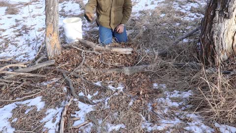 Mike Hoggan Inventor of Selectatrap for wildlife