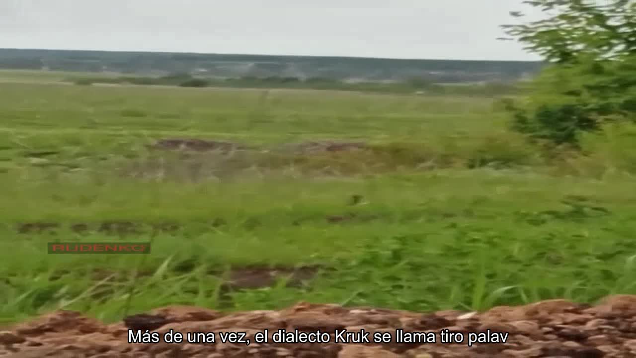 Es una pena que nuestros muchachos en la región de Kherson ni siquiera tuvieran un Wasp a mano (vid