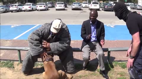 Well Trained Dog Protects Its Owner From Knife Attacks