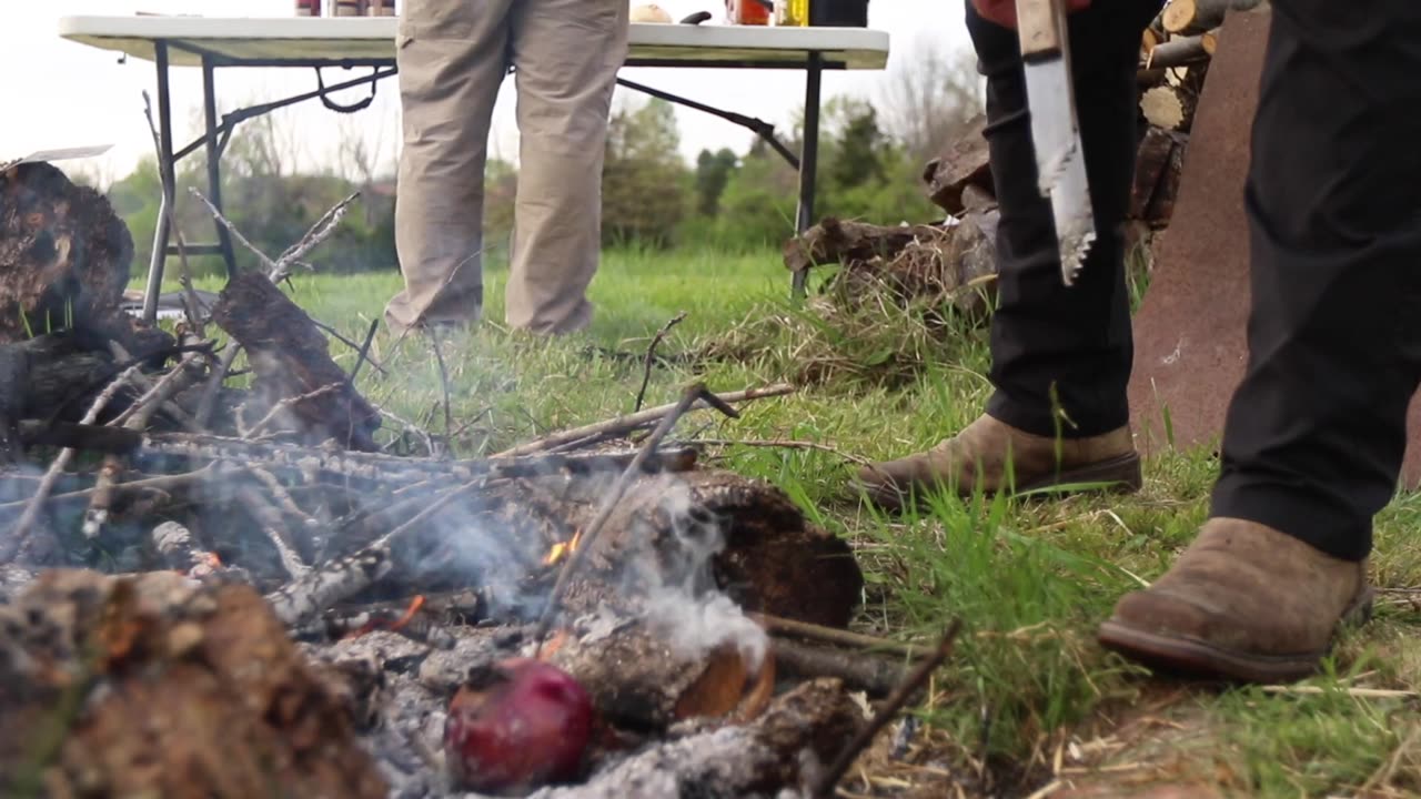 Eastern Wild Turkey Hunts