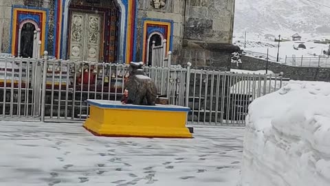 Kedarnath lover❤️❤️❤️❤️