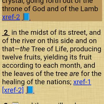 Tracing things back Genesis 3 Revelation marriage