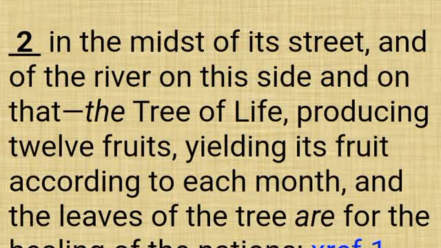 Tracing things back Genesis 3 Revelation marriage