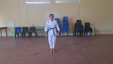 A9 - Justine Brown - Green - Pinan Nidan