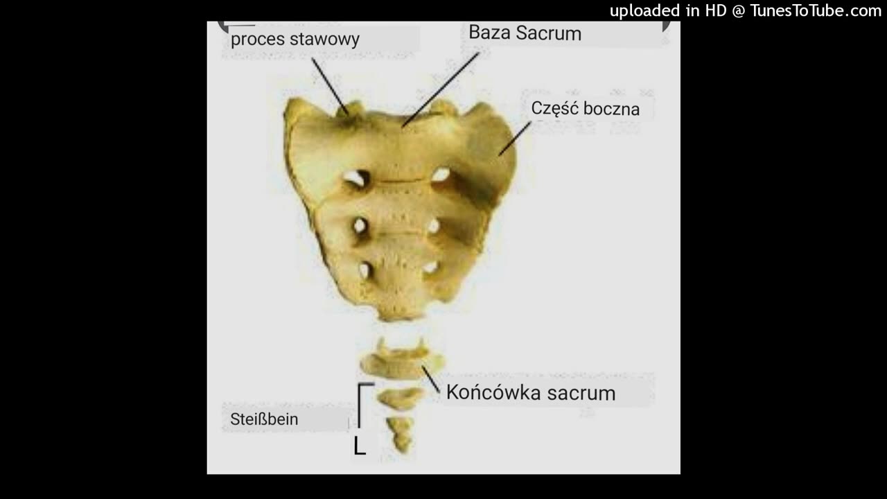 KLUCZ DAWIDA_Praktyka_kapłanów_babilońskich