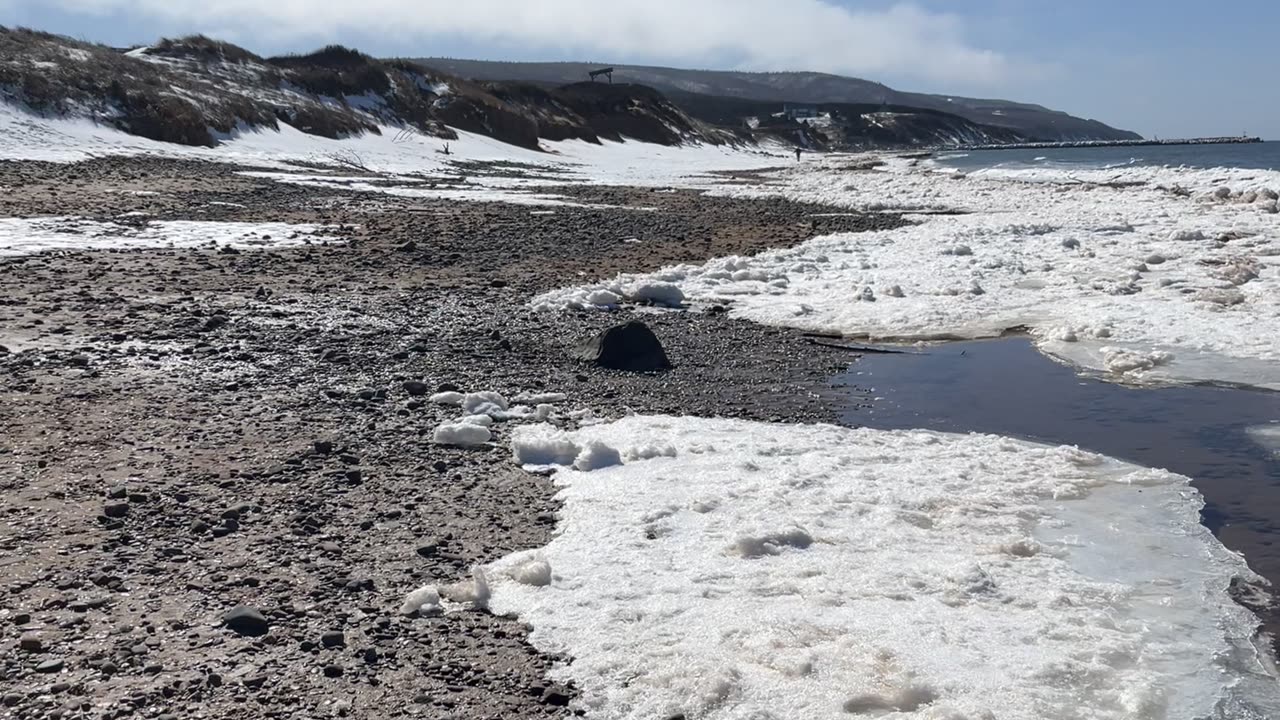 icy beach in march