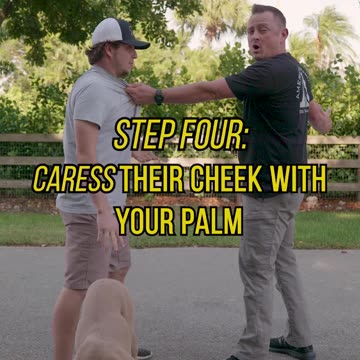 STOP Baby Talking Strangers’ Dogs