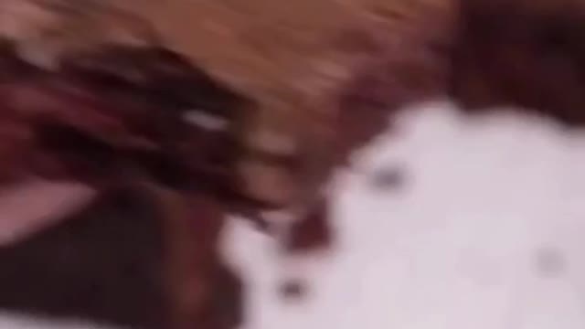 The Best Ever Vegan Brownies