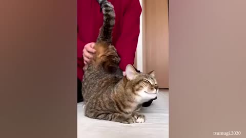 You need a hand🥰