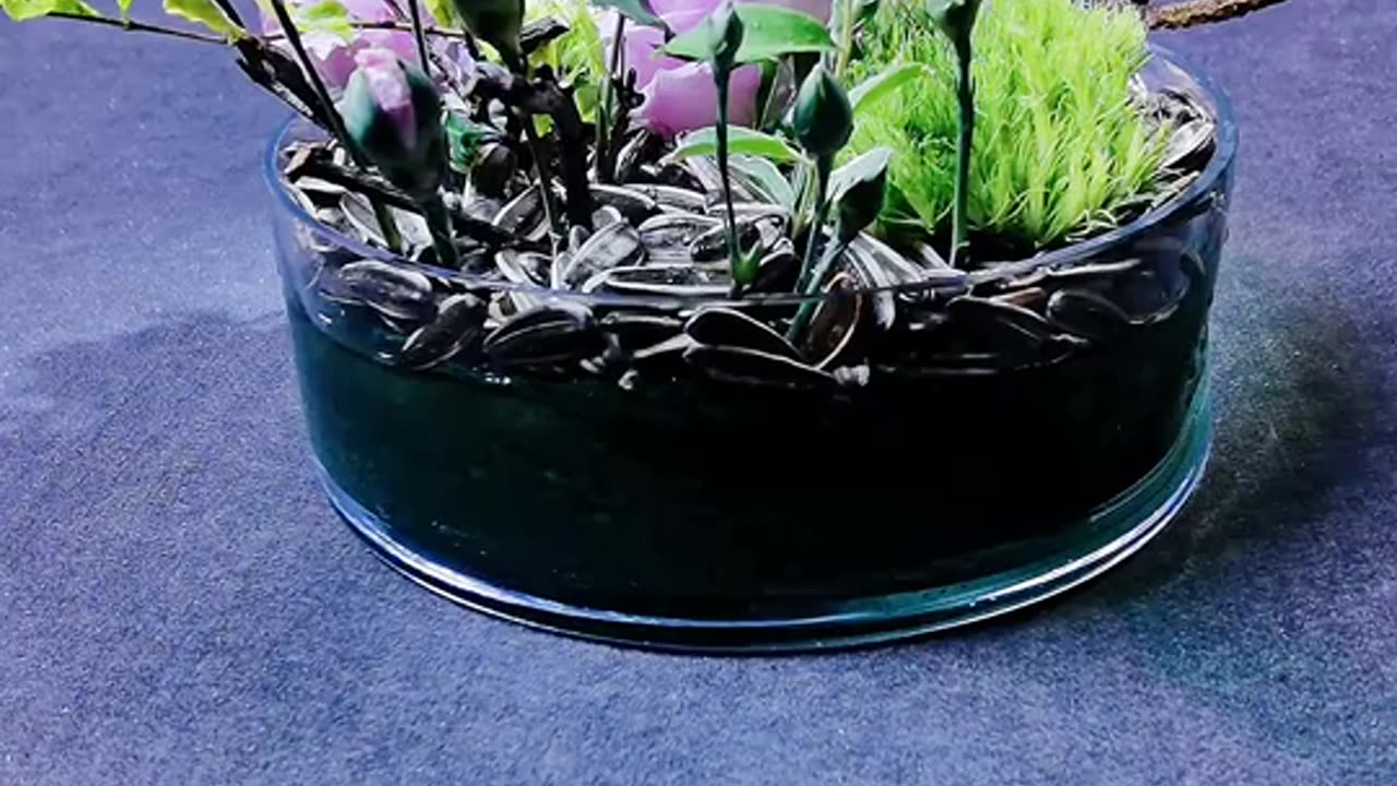 Ikebana 024: Oriental Style Natural Flower Arrangement Artistic Creativity