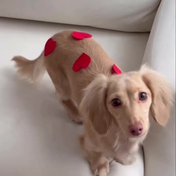 Happy Valentine’s Day 😍😍